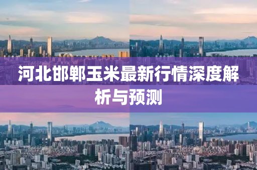 河北邯鄲玉米最新行情深度解析與預(yù)測(cè)