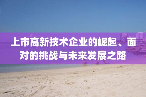 上市高新技術企業(yè)的崛起、面對的挑戰(zhàn)與未來發(fā)展之路