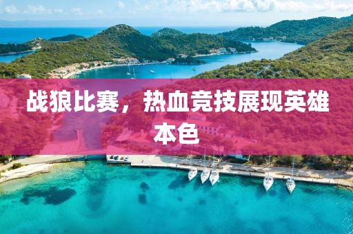 戰(zhàn)狼比賽，熱血競技展現(xiàn)英雄本色