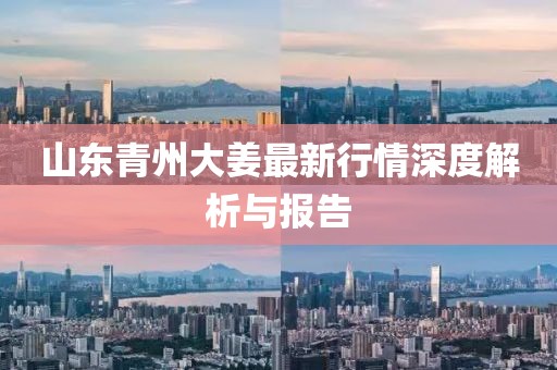 山東青州大姜最新行情深度解析與報(bào)告