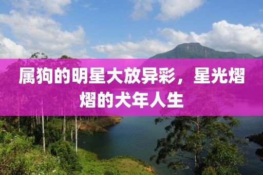 屬狗的明星大放異彩，星光熠熠的犬年人生