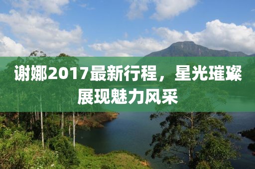 謝娜2017最新行程，星光璀璨展現(xiàn)魅力風采