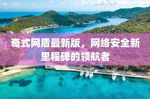 奇式網(wǎng)盾最新版，網(wǎng)絡(luò)安全新里程碑的領(lǐng)航者