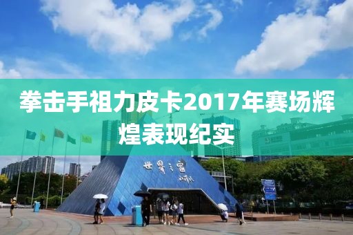 拳擊手祖力皮卡2017年賽場輝煌表現(xiàn)紀實