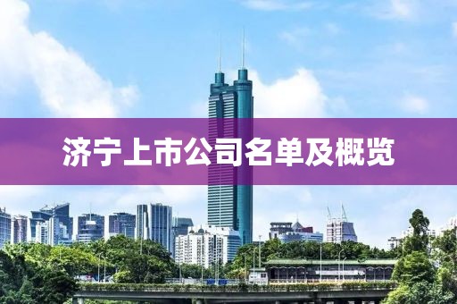 濟(jì)寧上市公司名單及概覽