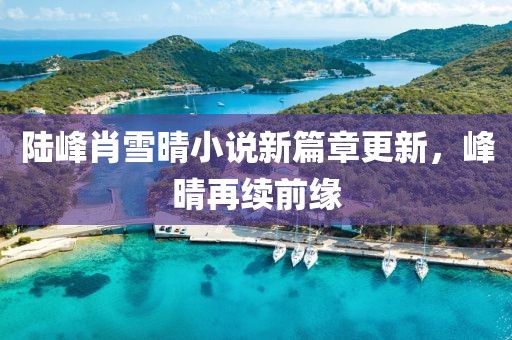 陸峰肖雪晴小說新篇章更新，峰晴再續(xù)前緣