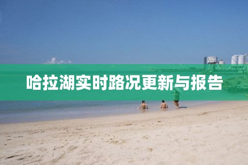 哈拉湖實(shí)時(shí)路況更新與報(bào)告