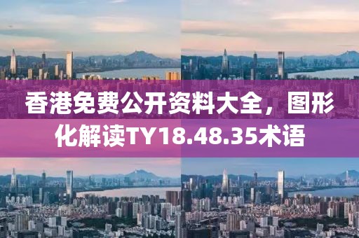 香港免費(fèi)公開資料大全，圖形化解讀TY18.48.35術(shù)語