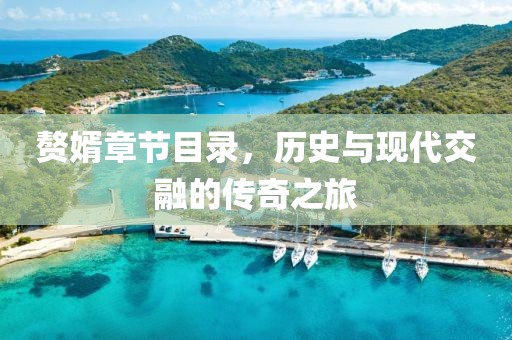 贅婿章節(jié)目錄，歷史與現(xiàn)代交融的傳奇之旅