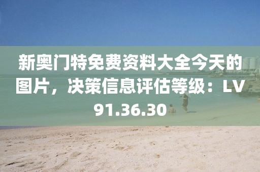 新奧門特免費資料大全今天的圖片，決策信息評估等級：LV91.36.30