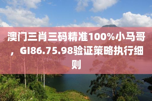 澳門三肖三碼精準(zhǔn)100%小馬哥，GI86.75.98驗證策略執(zhí)行細(xì)則