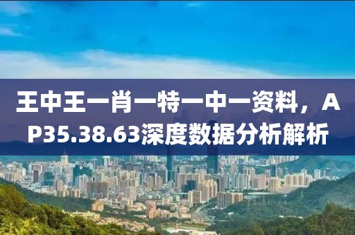 王中王一肖一特一中一資料，AP35.38.63深度數(shù)據(jù)分析解析