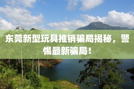 東莞新型玩具推銷騙局揭秘，警惕最新騙局！