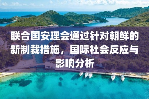 聯(lián)合國(guó)安理會(huì)通過針對(duì)朝鮮的新制裁措施，國(guó)際社會(huì)反應(yīng)與影響分析