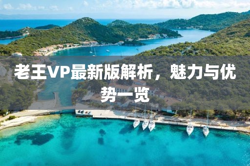 老王VP最新版解析，魅力與優(yōu)勢一覽