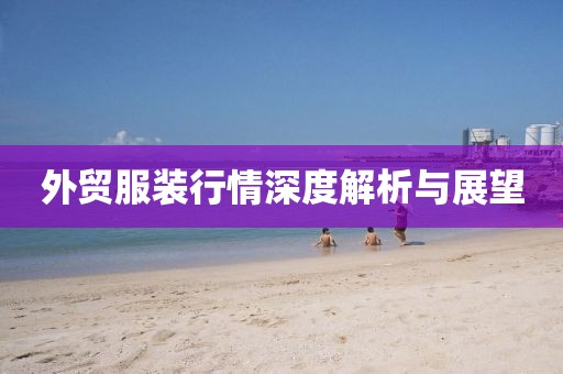 外貿(mào)服裝行情深度解析與展望
