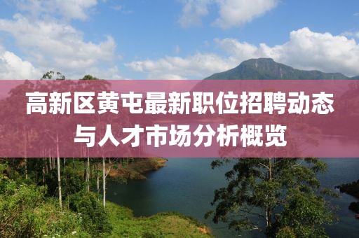 高新區(qū)黃屯最新職位招聘動(dòng)態(tài)與人才市場(chǎng)分析概覽