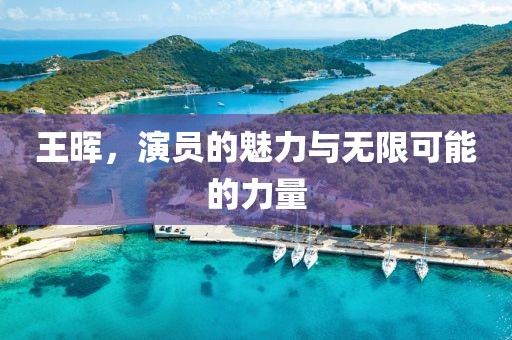 王暉，演員的魅力與無限可能的力量