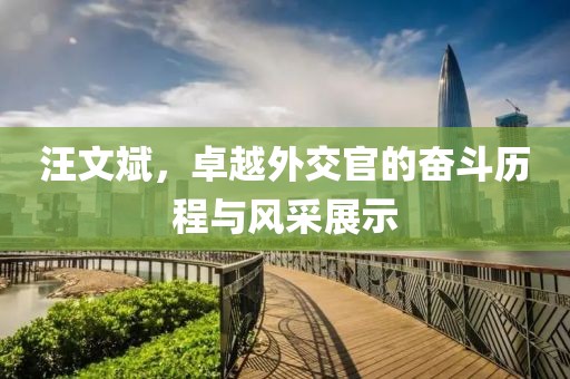 汪文斌，卓越外交官的奮斗歷程與風(fēng)采展示