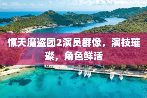 驚天魔盜團2演員群像，演技璀璨，角色鮮活