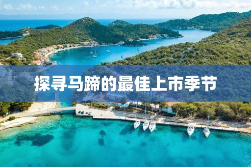 探尋馬蹄的最佳上市季節(jié)