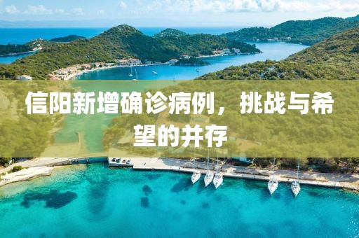 信陽新增確診病例，挑戰(zhàn)與希望的并存