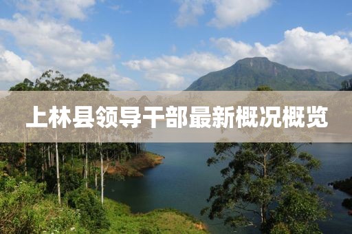 2025年7月3日 第3頁(yè)