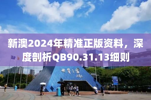 新澳2024年精準(zhǔn)正版資料，深度剖析QB90.31.13細(xì)則