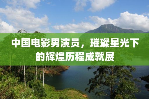 中國電影男演員，璀璨星光下的輝煌歷程成就展