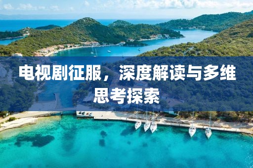 電視劇征服，深度解讀與多維思考探索