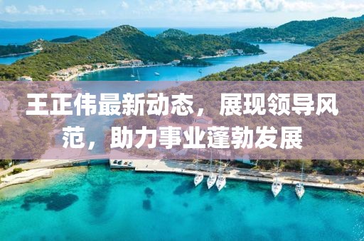 王正偉最新動(dòng)態(tài)，展現(xiàn)領(lǐng)導(dǎo)風(fēng)范，助力事業(yè)蓬勃發(fā)展