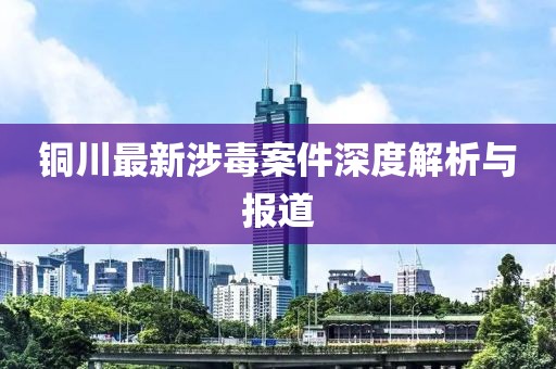 銅川最新涉毒案件深度解析與報道