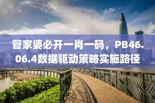 管家婆必開一肖一碼，PB46.06.4數據驅動策略實施路徑
