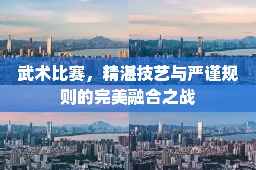 武術(shù)比賽，精湛技藝與嚴謹規(guī)則的完美融合之戰(zhàn)