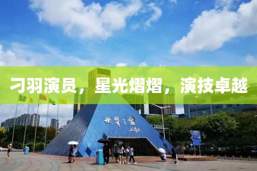 刁羽演員，星光熠熠，演技卓越