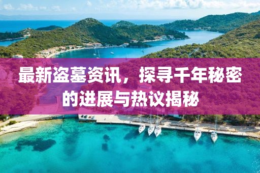 最新盜墓資訊，探尋千年秘密的進(jìn)展與熱議揭秘