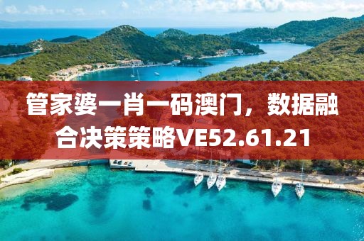 管家婆一肖一碼澳門，數(shù)據(jù)融合決策策略VE52.61.21