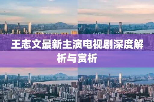 王志文最新主演電視劇深度解析與賞析