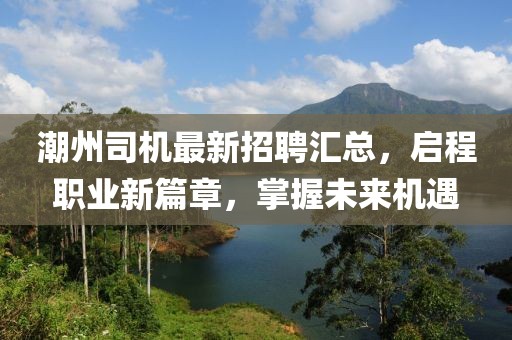 潮州司機(jī)最新招聘匯總，啟程職業(yè)新篇章，掌握未來機(jī)遇