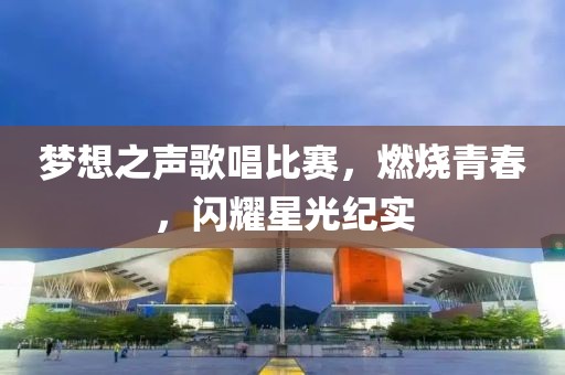 夢想之聲歌唱比賽，燃燒青春，閃耀星光紀(jì)實(shí)