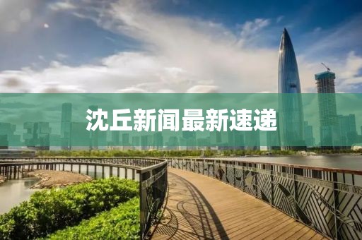 沈丘新聞最新速遞