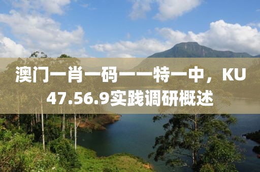 澳門一肖一碼一一特一中，KU47.56.9實(shí)踐調(diào)研概述