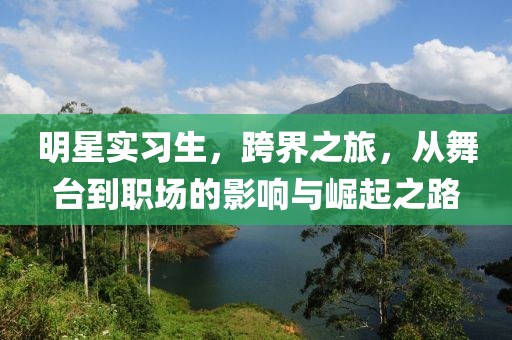 明星實(shí)習(xí)生，跨界之旅，從舞臺到職場的影響與崛起之路