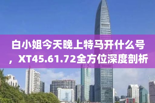 白小姐今天晚上特馬開什么號，XT45.61.72全方位深度剖析
