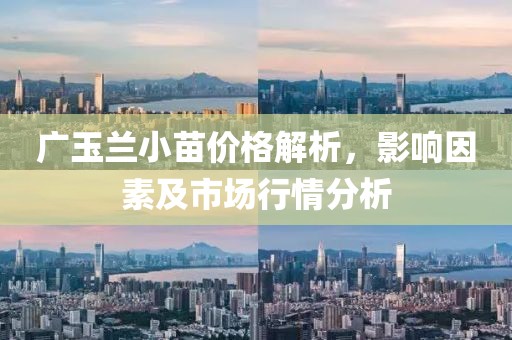廣玉蘭小苗價(jià)格解析，影響因素及市場(chǎng)行情分析