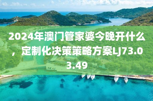 2024年澳門(mén)管家婆今晚開(kāi)什么，定制化決策策略方案LJ73.03.49