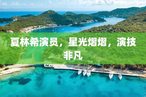 夏林希演員，星光熠熠，演技非凡
