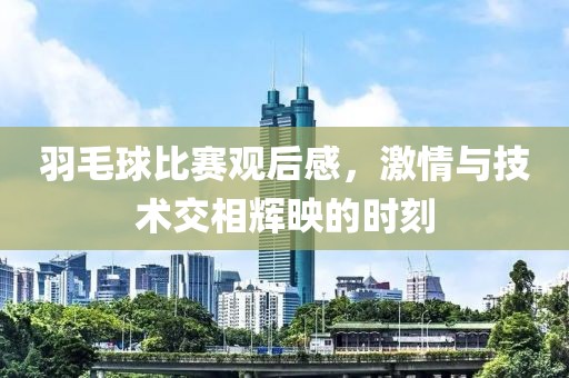 羽毛球比賽觀后感，激情與技術(shù)交相輝映的時刻