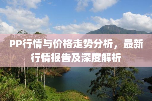 PP行情與價格走勢分析，最新行情報告及深度解析