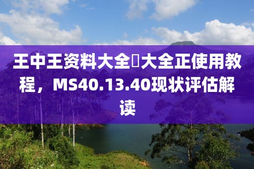 王中王資料大全枓大全正使用教程，MS40.13.40現(xiàn)狀評估解讀